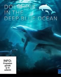 <b><font color='#FF0000'>深蓝色海洋里的海豚</font></b>